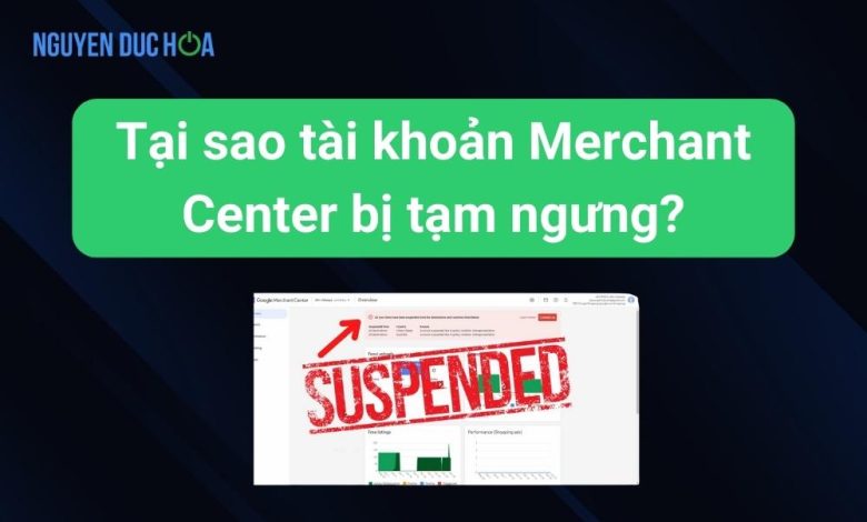 Tại sao tài khoản Merchant Center bị tạm ngưng? Hướng dẫn khắc phục nhanh chóng
