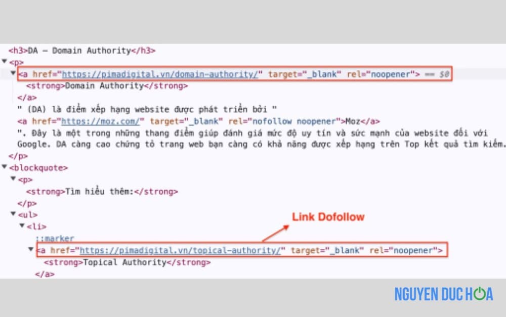 Link Dofollow Nofollow - Sự khác biệt cần biết